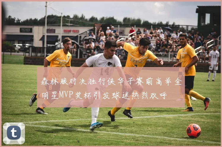 森林狼对决独行侠华子赛前高举全明星MVP奖杯引发球迷热烈欢呼
